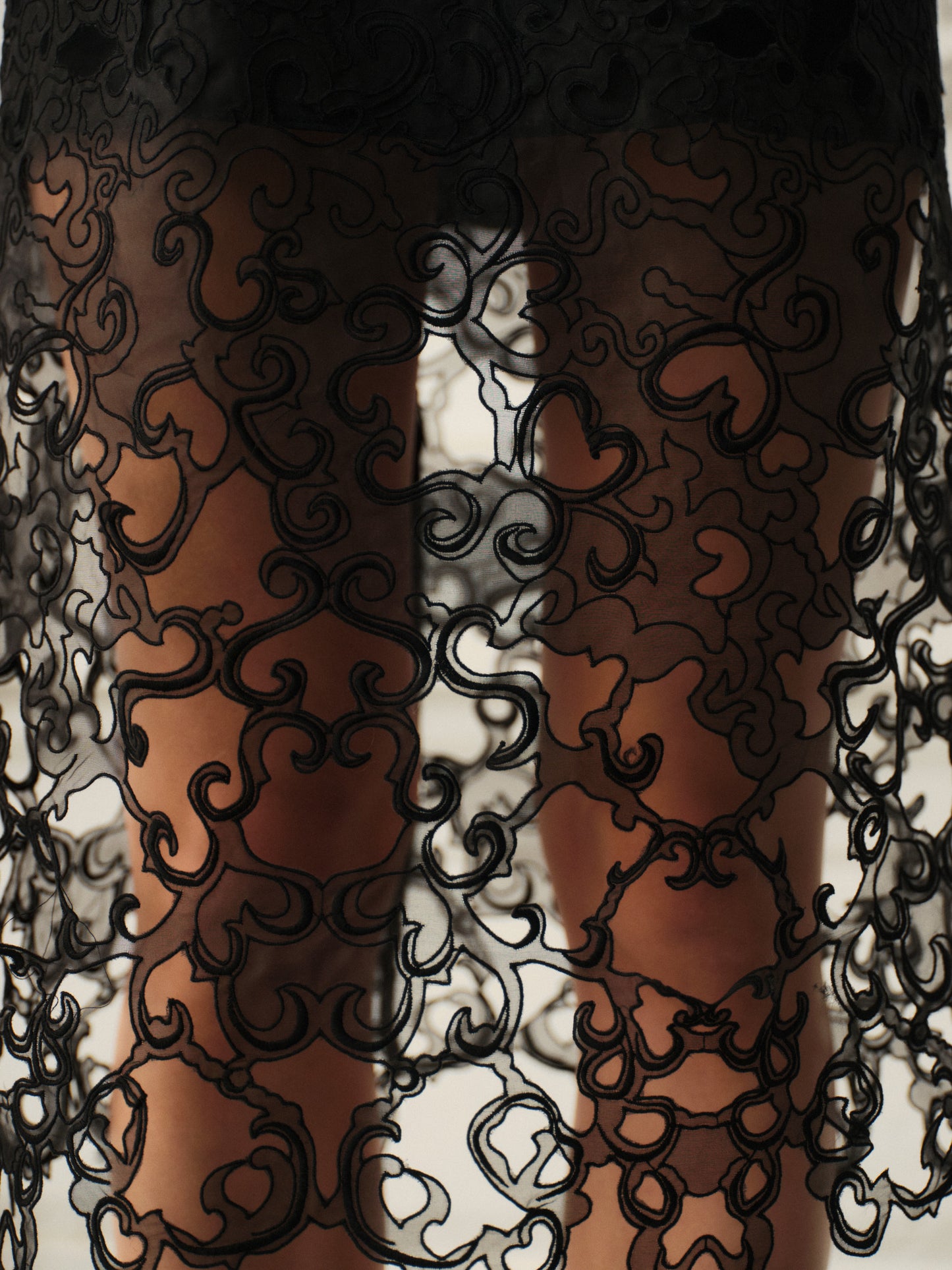 Silk lace midi skirt with underskirt